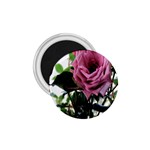 Rose 1.75  Button Magnet Front