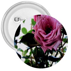 Rose 3  Button