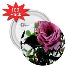 Rose 2 25  Button (100 Pack) by Rbrendes