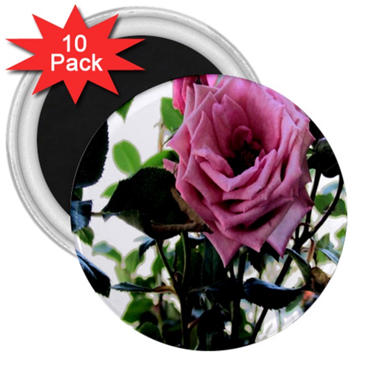 Rose 3  Button Magnet (10 pack)