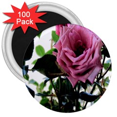 Rose 3  Button Magnet (100 Pack)