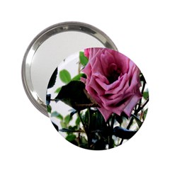 Rose Handbag Mirror (2 25 ) by Rbrendes