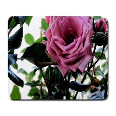 Rose Large Mouse Pad (rectangle) by Rbrendes