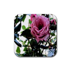 Rose Drink Coaster (square)