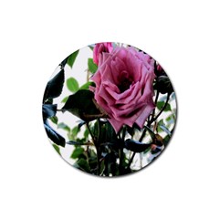 Rose Drink Coasters 4 Pack (round) by Rbrendes