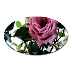 Rose Magnet (oval)