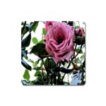 Rose Magnet (Square) Front