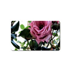 Rose Magnet (name Card)