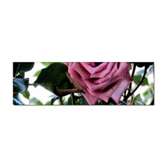 Rose Bumper Sticker 10 Pack