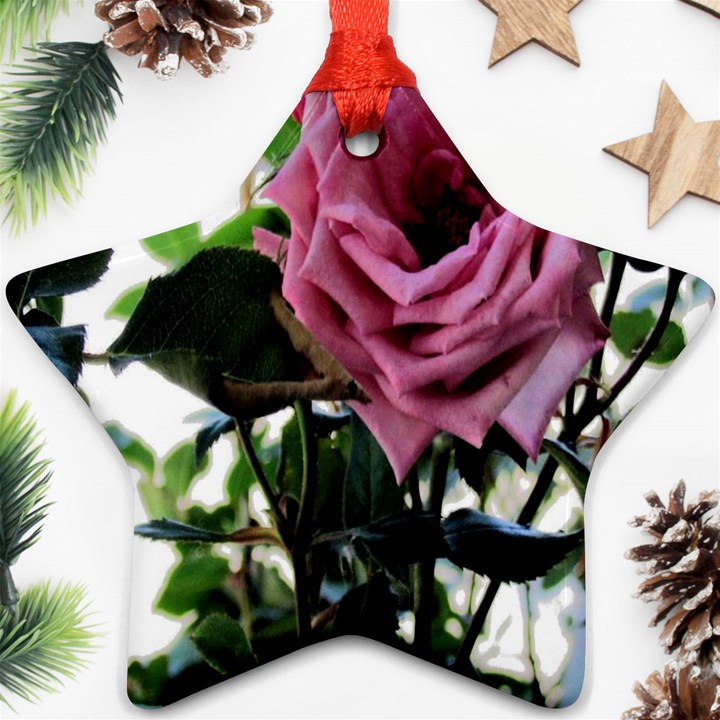 Rose Star Ornament (Two Sides)