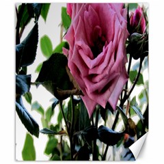 Rose Canvas 8  X 10  (unframed) by Rbrendes