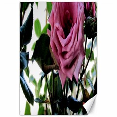 Rose Canvas 12  X 18  (unframed) by Rbrendes