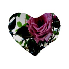 Rose 16  Premium Heart Shape Cushion 