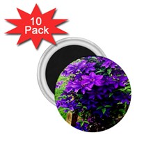 Purple Flowers 1.75  Button Magnet (10 pack)