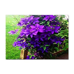 Purple Flowers A4 Sticker 10 Pack