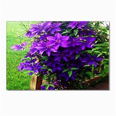 Purple Flowers Postcard 4 x 6  (10 Pack) by Rbrendes