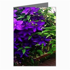 Purple Flowers Greeting Card (8 Pack)