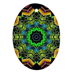 Big Burst Oval Ornament (two Sides)