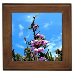 Pink Flower Framed Ceramic Tile