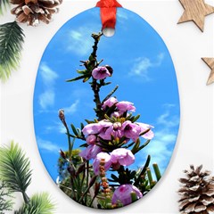 Pink Flower Oval Ornament