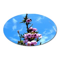 Pink Flower Magnet (oval) by Rbrendes