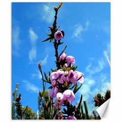 Pink Flower Canvas 8  X 10  (unframed) by Rbrendes