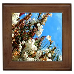 Australia Flowers Framed Ceramic Tile