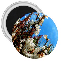 Australia Flowers 3  Button Magnet