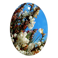 Australia Flowers Oval Ornament