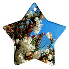 Australia Flowers Star Ornament