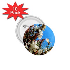 Australia Flowers 1 75  Button (10 Pack) by Rbrendes