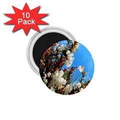 Australia Flowers 1 75  Button Magnet (10 Pack)