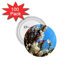 Australia Flowers 1 75  Button (100 Pack)