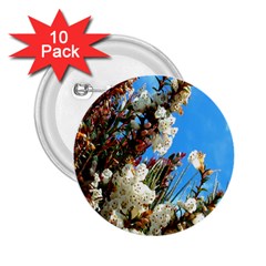 Australia Flowers 2 25  Button (10 Pack) by Rbrendes