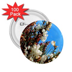 Australia Flowers 2 25  Button (100 Pack)