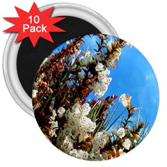 Australia Flowers 3  Button Magnet (10 Pack) by Rbrendes