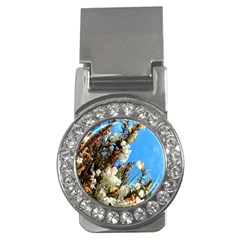 Australia Flowers Money Clip (cz)