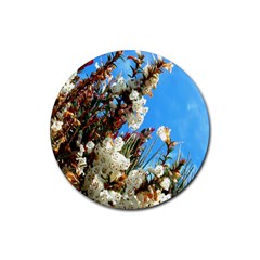 Australia Flowers Drink Coasters 4 Pack (round)