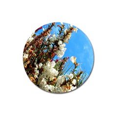 Australia Flowers Magnet 3  (round)