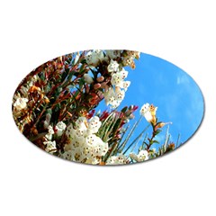 Australia Flowers Magnet (oval)