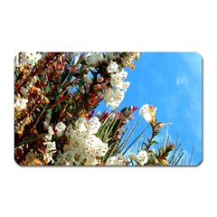 Australia Flowers Magnet (rectangular)