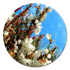 Australia Flowers Magnet 5  (round)