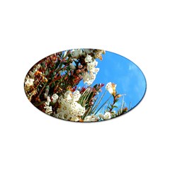 Australia Flowers Sticker 100 Pack (oval)