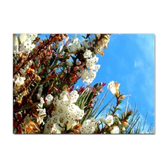 Australia Flowers A4 Sticker 100 Pack