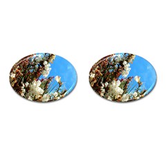 Australia Flowers Cufflinks (oval) by Rbrendes