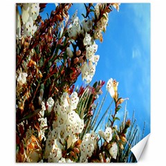 Australia Flowers Canvas 8  X 10  (unframed) by Rbrendes