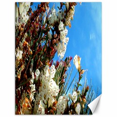 Australia Flowers Canvas 12  X 16  (unframed) by Rbrendes