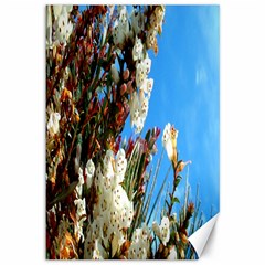 Australia Flowers Canvas 12  X 18  (unframed)