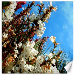 Australia Flowers Canvas 20  X 20  (unframed) by Rbrendes