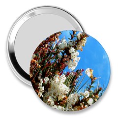 Australia Flowers 3  Handbag Mirror